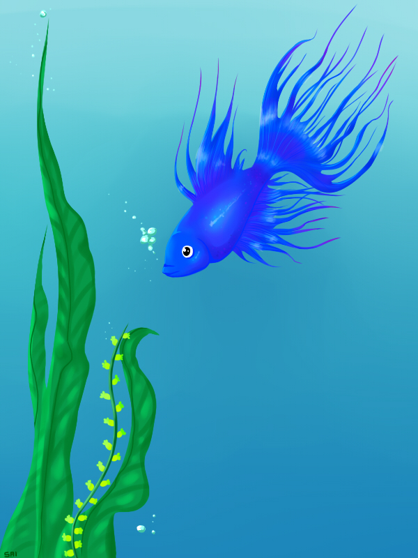 Beta Fish