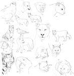 Realistic Animal Anatomy 1 by dark-reign
