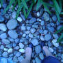 Pebbles Beneath My Feet