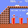 3D Nintendo - Mario Warp Zone