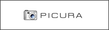 PICURA Logo