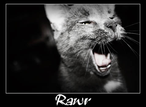 RAWR