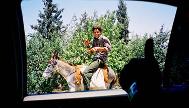 Donky rider in Jordan