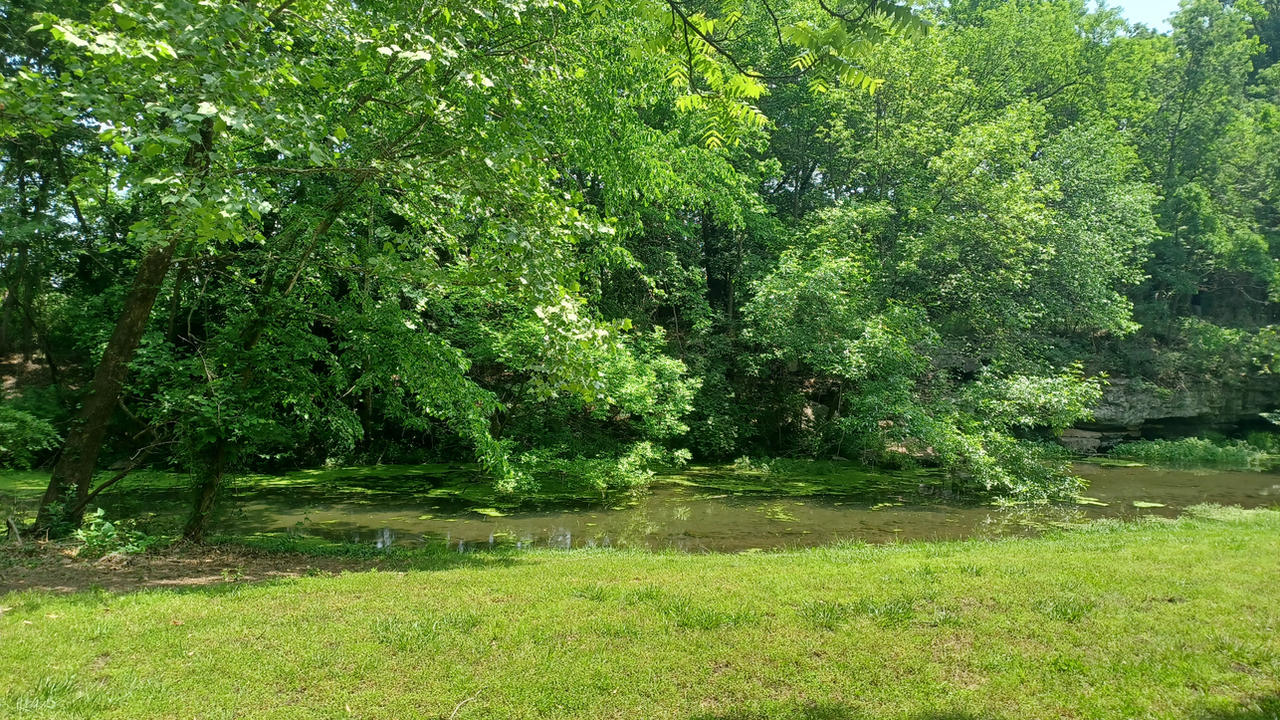Carter Spring Carter Spring - Carthage, MO by Falloutlover675 on DeviantArt