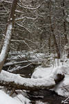 Natural bridge across a brook by Eternalfall1