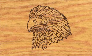 Eagle Woodburn