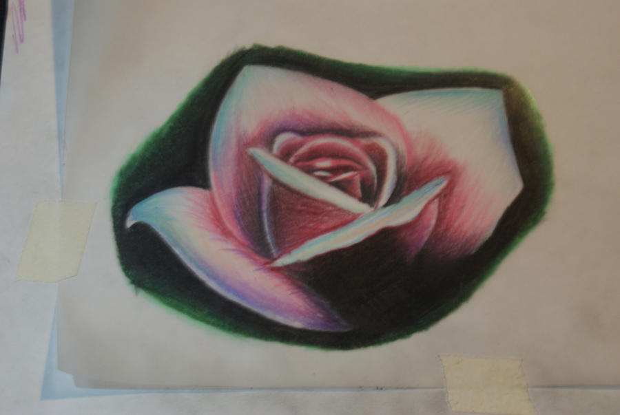 Rose drawing