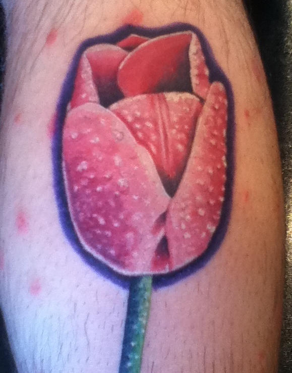 Realistic tulip tattoo by EricTatt on DeviantArt