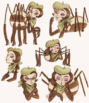 Miss Spider