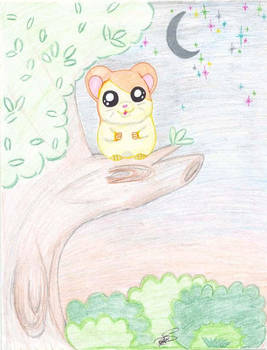 Hamtaro