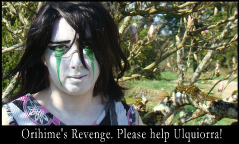 Please help Ulquiorra