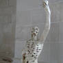 Skelpture 03...