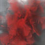 Red Feathers 02...