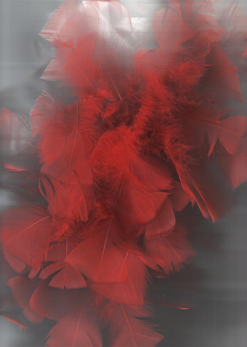 Red Feathers 02... by the-night-bird