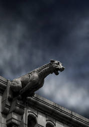 Gargoyle BG 02