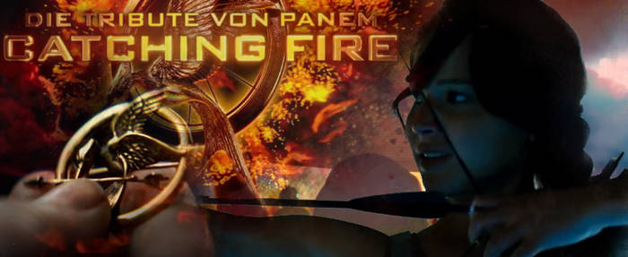 Tribute from Panem Collage