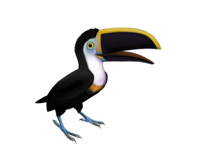 Toucan