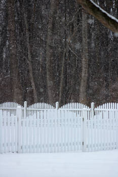 Snowy Winter Day