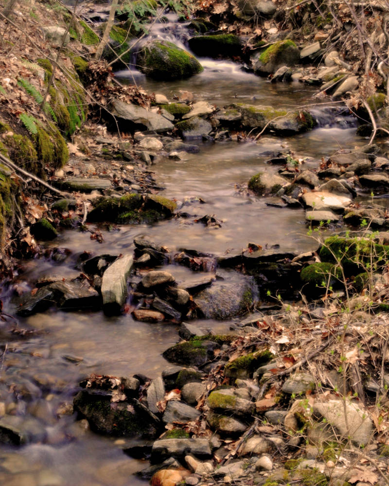 Salmon River Tributary by PaladinPhantom on DeviantArt