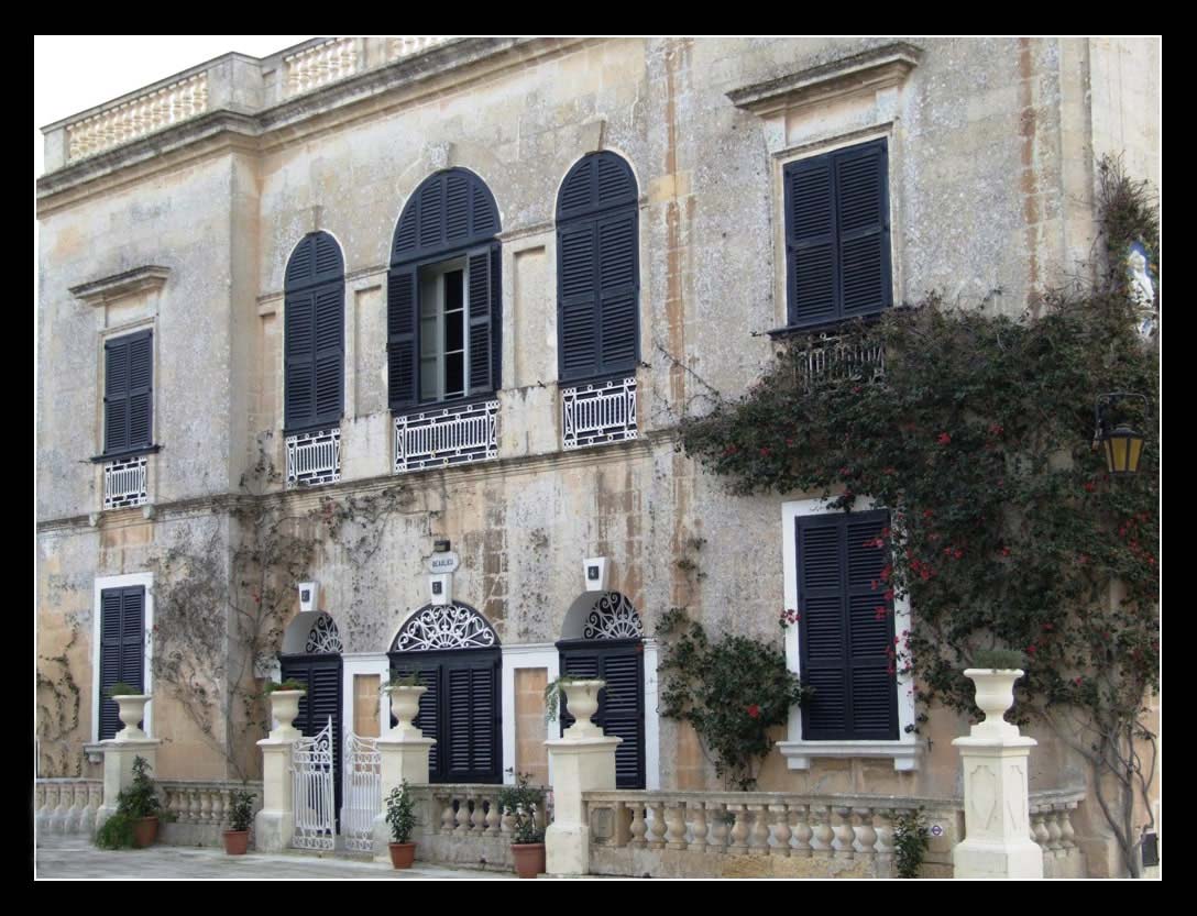 the house with blue windows