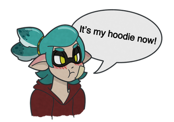 Ace the Hoodie Thief
