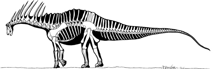 Amargasaurus