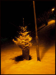 tree in trash