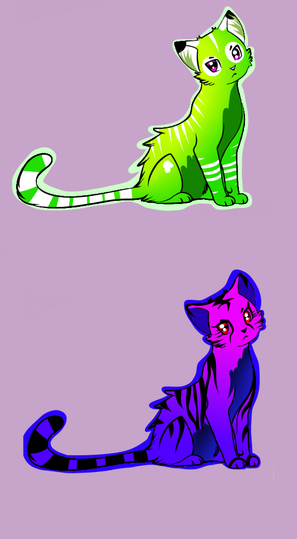 Cat Adoptables