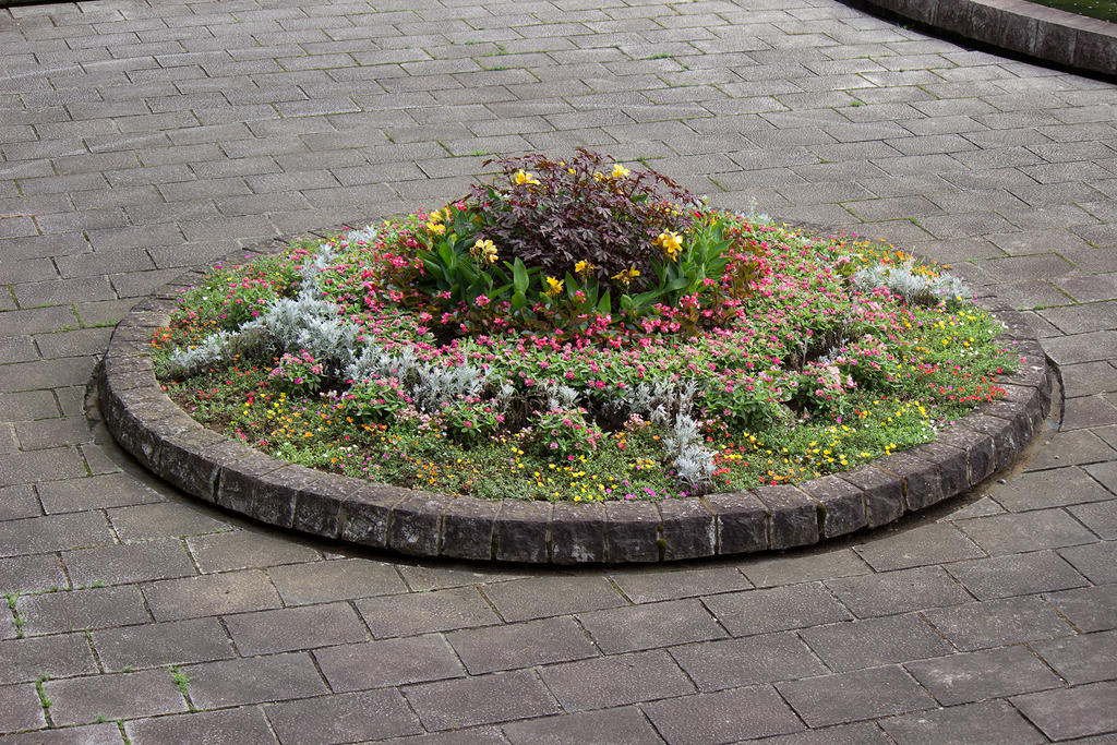 Flowerbed near the fountain