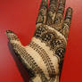 Metamorphosis Henna Nov 2011