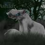 Ashfur