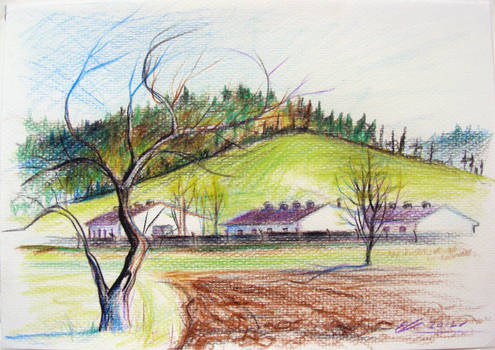 landscape 3