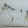 Shine-SOLD