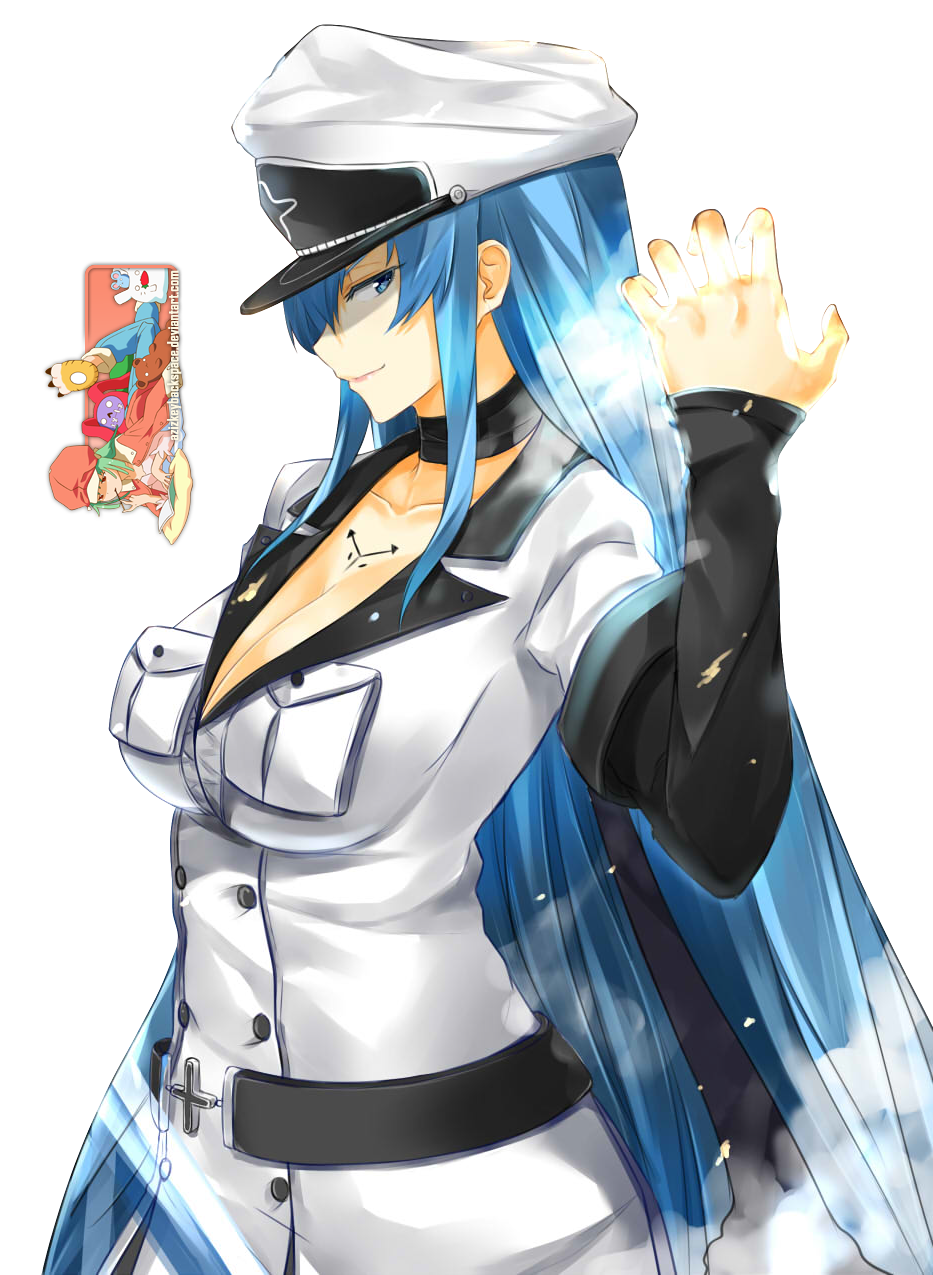 Esdeath (Akame ga Kill) devianart