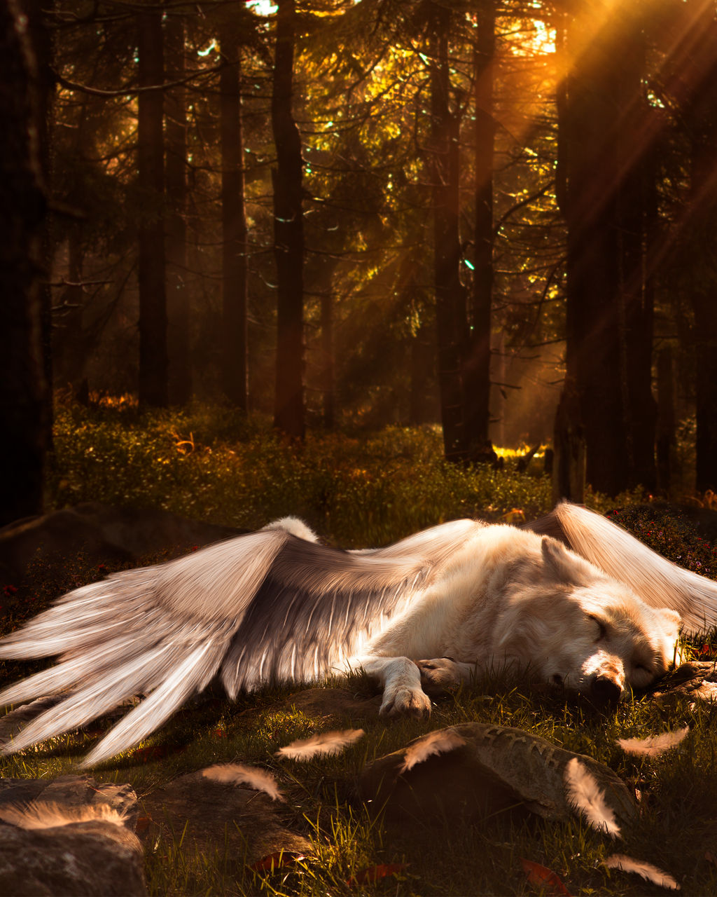 Asena Turkic Mythology by khaljdzz on DeviantArt