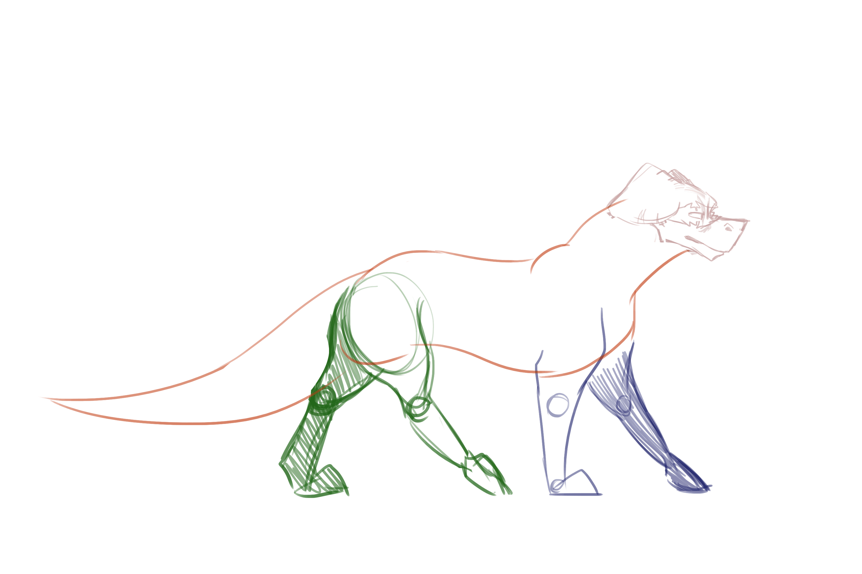 Amiigo-Walking-Circle