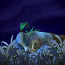 Sleeping under the night sky