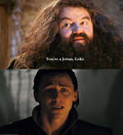 You're a Jotun, Loki