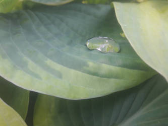 Water Droplet