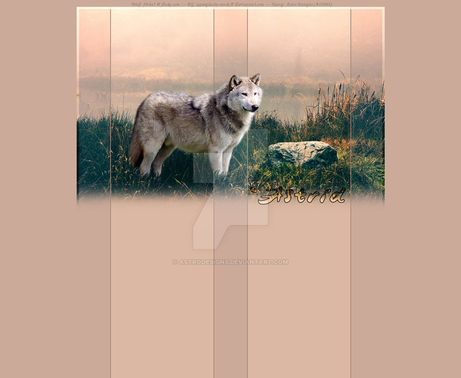 Wolves Layout Wolf Layout - - 03.12.10 by AstroDesigns on DeviantArt
