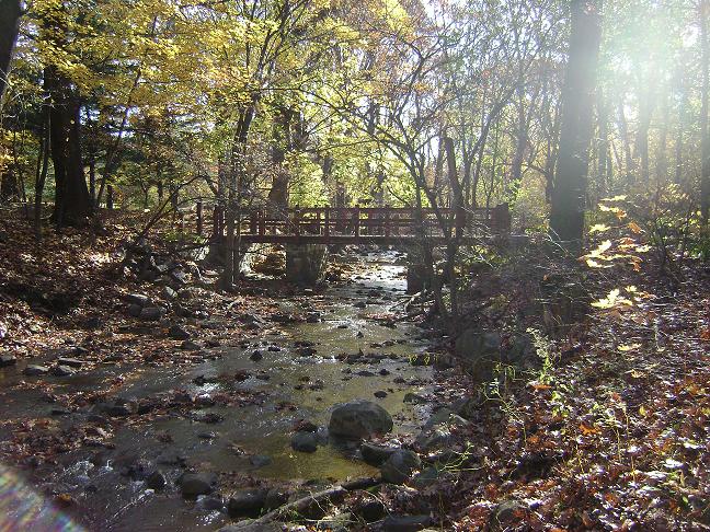 Old Bridge