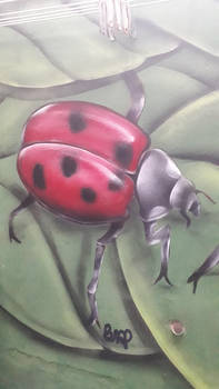 Graffiti ladybug