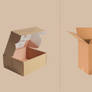 Mailer-boxes