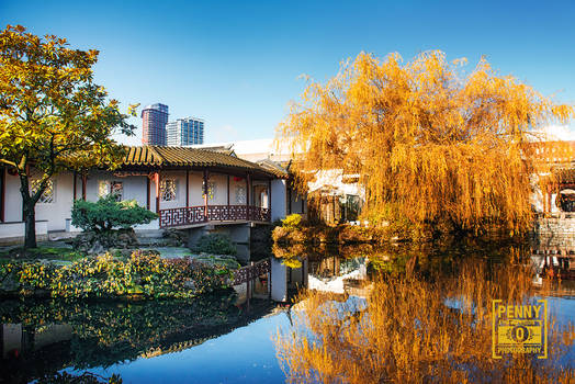 Chinese Garden