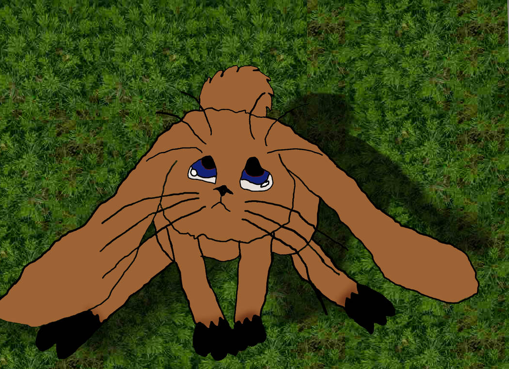 A Cabbit I did for class by XdarkXanarchyX on DeviantArt