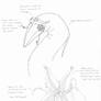 Alien Creature Anatomy