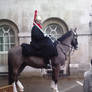 Household Cavalry Guard