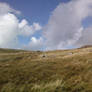 Welsh Mountains