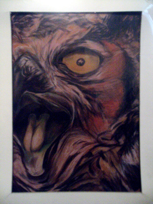 RED OWL [1991 ART]