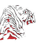 Tiger by Mpm-original